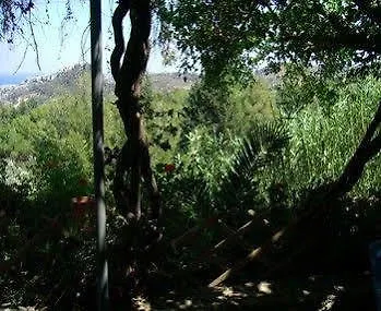 Panorama 2* ארכאנגלוס