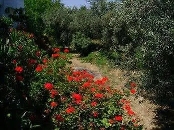 Panorama 2* Archangelos (Rhodes)