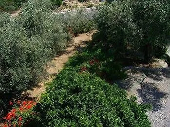 Hotel Panorama 2*