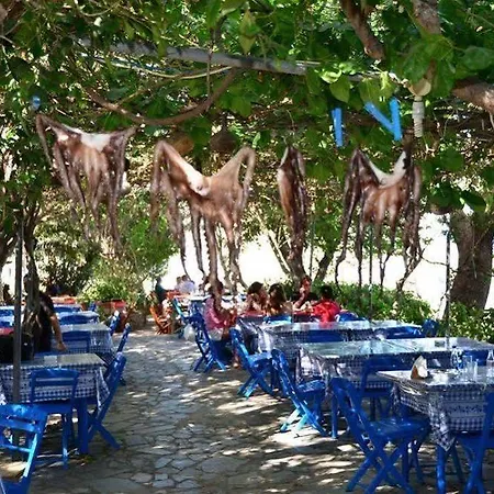 Panorama 2* ארכאנגלוס