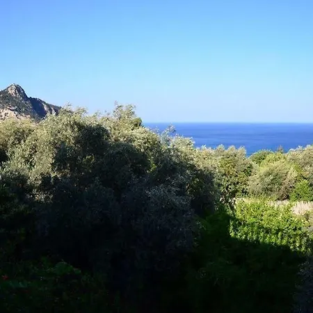 Panorama 2*
